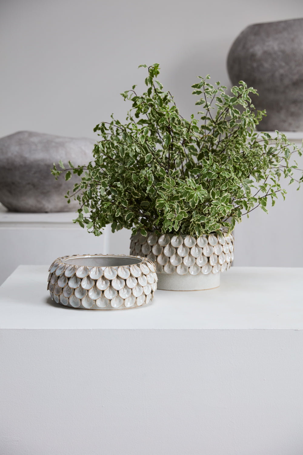 Mirabai Bowl By Accent Decor | Decorative Bowls | Modishstore - 3