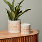 Misa Pot Set of 2 By Accent Decor | Planters, Troughs & Cachepots | Modishstore - 3