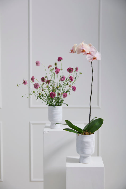 Monaco Vase Set of 4 By Accent Decor | Vases | Modishstore - 1