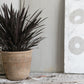 Monteclair Planter By Accent Decor | Planters, Troughs & Cachepots | Modishstore - 3