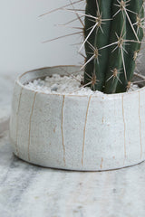 Morgan Bowl Set of 2 By Accent Decor