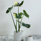 Morgan Pot Set of 4 By Accent Decor | Wall Decor | Modishstore - 4