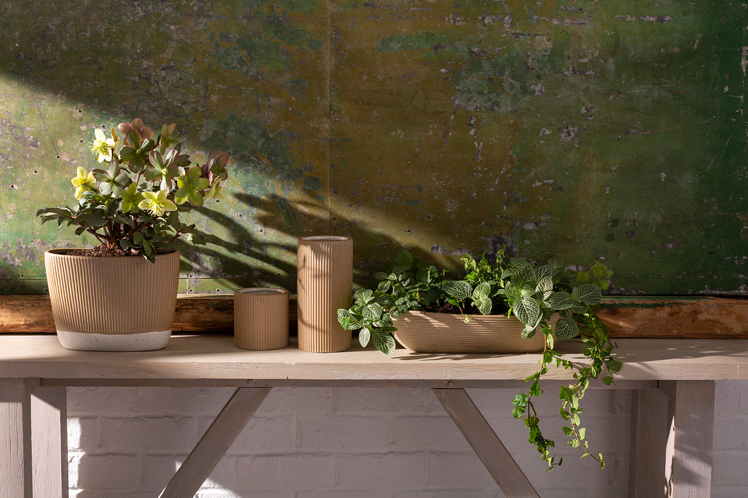 Morrigan Collection Set of 8 By Accent Decor | Planters, Troughs & Cachepots | Modishstore - 3