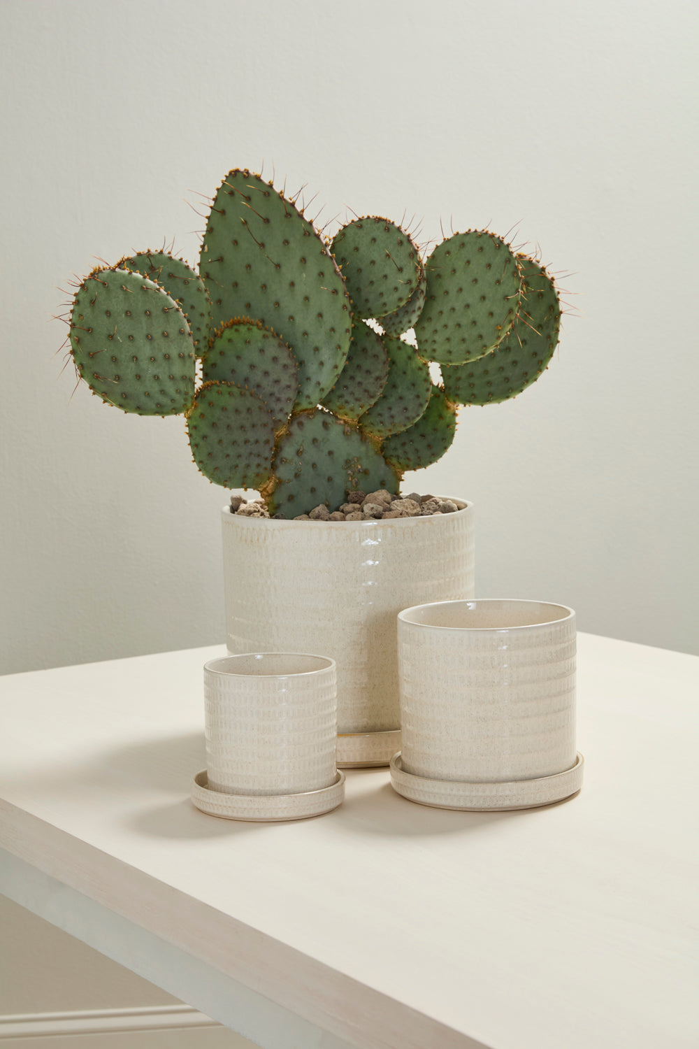 Morse Pot with Saucer Set of 4 By Accent Decor | Planters, Troughs & Cachepots | Modishstore - 3