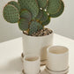 Morse Pot with Saucer Set of 4 By Accent Decor | Planters, Troughs & Cachepots | Modishstore - 4