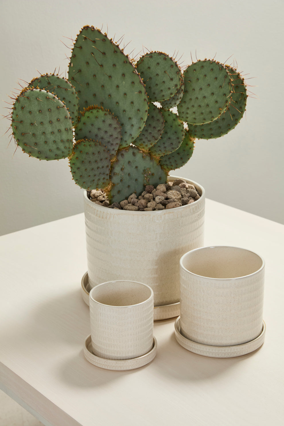 Morse Pot with Saucer Set of 4 By Accent Decor | Planters, Troughs & Cachepots | Modishstore - 4