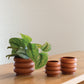 Motley Pot Set of 8 By Accent Decor | Planters, Troughs & Cachepots | Modishstore - 1