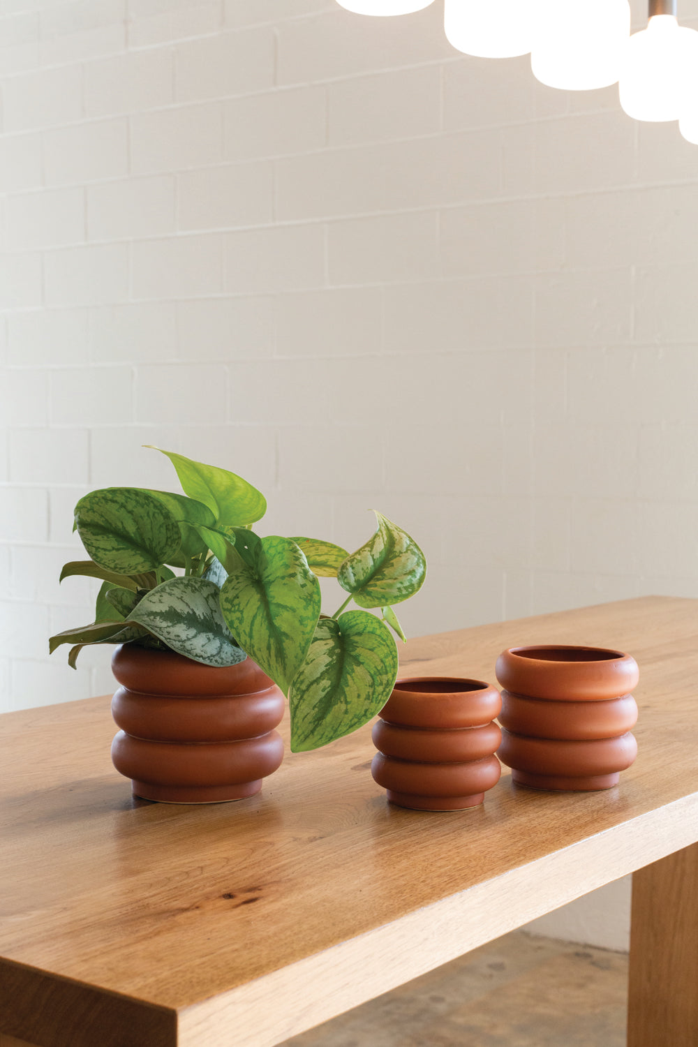 Motley Pot Set of 8 By Accent Decor | Planters, Troughs & Cachepots | Modishstore - 1