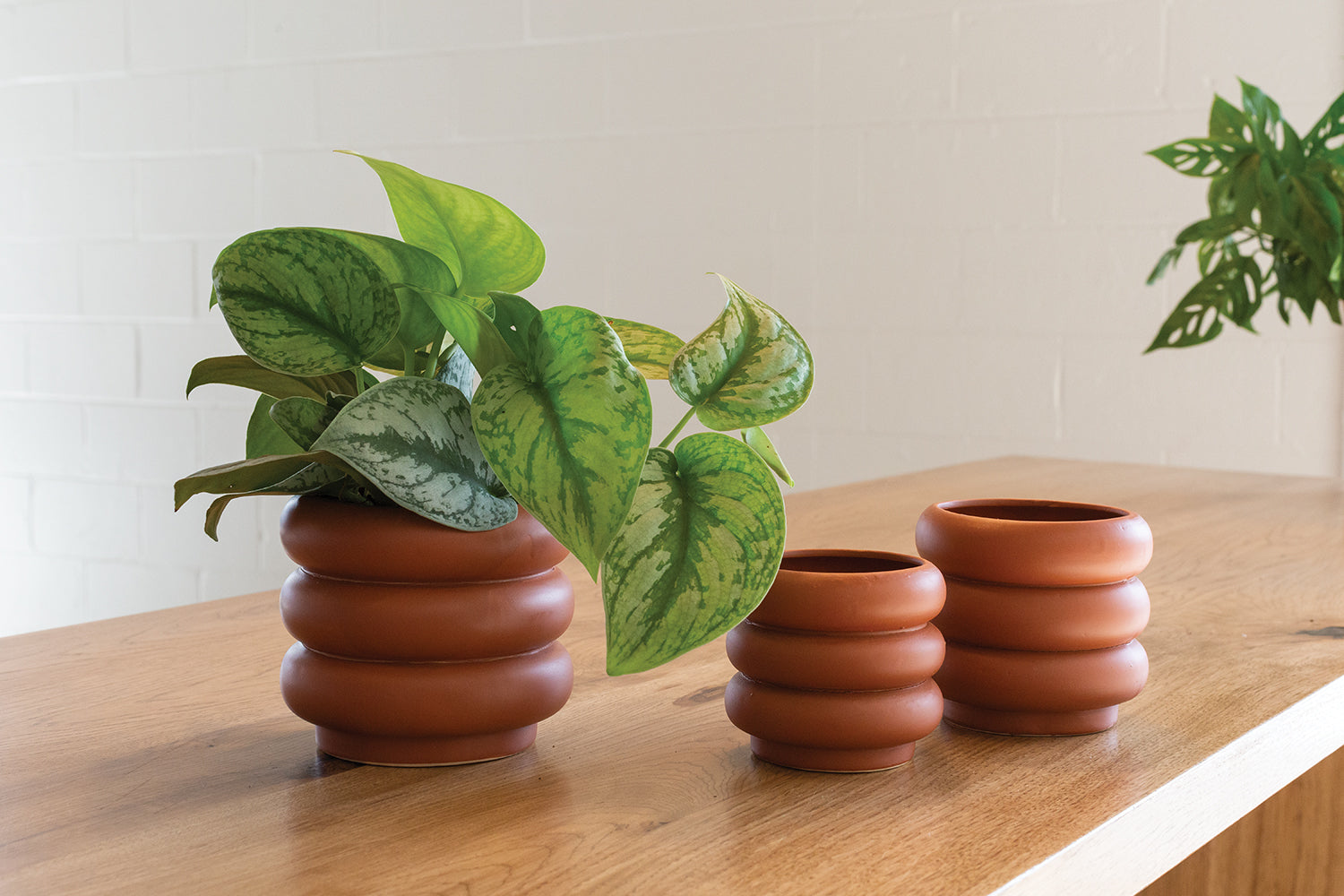 Motley Pot Set of 8 By Accent Decor | Planters, Troughs & Cachepots | Modishstore - 3