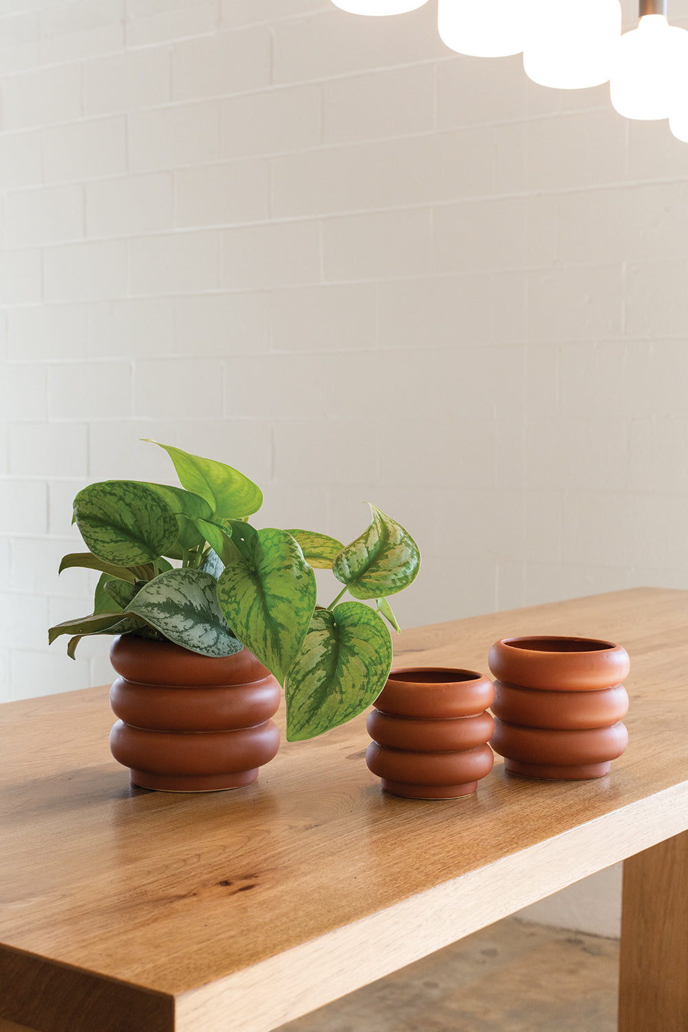 Motley Pot Set of 8 By Accent Decor | Planters, Troughs & Cachepots | Modishstore - 4