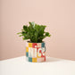 Naughty or Nice Pot Set of 4 By Accent Decor | Planters, Troughs & Cachepots | Modishstore - 1