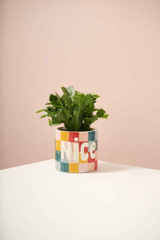 Naughty or Nice Pot Set of 4 By Accent Decor | Planters, Troughs & Cachepots | Modishstore - 1