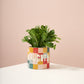 Naughty or Nice Pot Set of 4 By Accent Decor | Planters, Troughs & Cachepots | Modishstore - 3