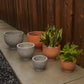 Newport Compote Set of 2 By Accent Decor | Planters, Troughs & Cachepots | Modishstore - 4