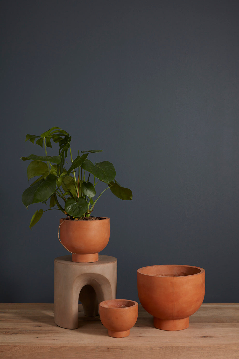 Newport Compote Set of 2 By Accent Decor | Planters, Troughs & Cachepots | Modishstore - 5