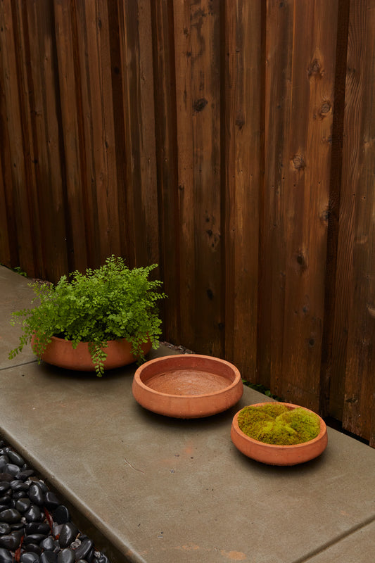 Newport Low Bowl Set of 2 By Accent Decor | Decorative Bowls | Modishstore - 1