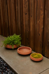 Newport Low Bowl Set of 2 By Accent Decor