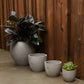 Newport Pot By Accent Decor | Planters, Troughs & Cachepots | Modishstore - 1