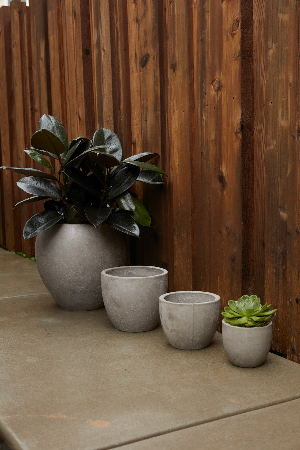 Newport Pot By Accent Decor | Planters, Troughs & Cachepots | Modishstore - 1