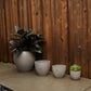 Newport Pot By Accent Decor | Planters, Troughs & Cachepots | Modishstore - 3