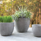 Newport Pot By Accent Decor | Planters, Troughs & Cachepots | Modishstore - 4