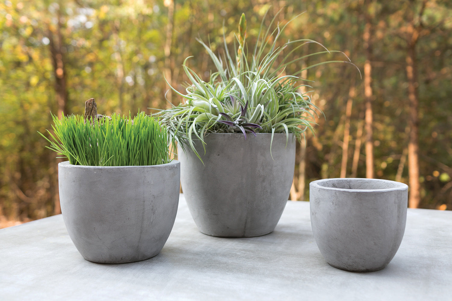 Newport Pot By Accent Decor | Planters, Troughs & Cachepots | Modishstore - 4