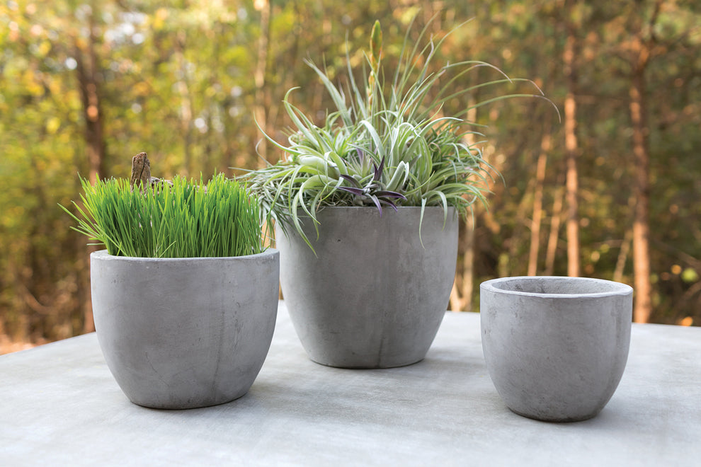 Newport Pot By Accent Decor | Planters, Troughs & Cachepots | Modishstore - 4