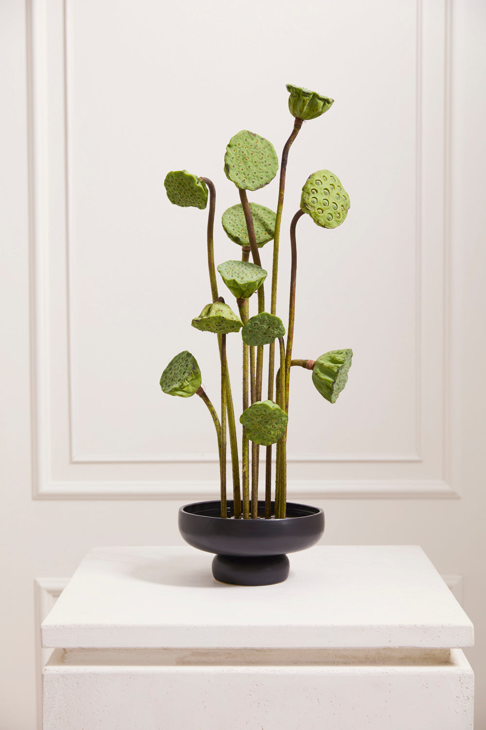 Nightingale Compote Set of 8 By Accent Decor | Planters, Troughs & Cachepots | Modishstore - 3