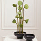 Nightingale Compote Set of 8 By Accent Decor | Planters, Troughs & Cachepots | Modishstore - 4