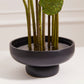 Nightingale Compote Set of 8 By Accent Decor | Planters, Troughs & Cachepots | Modishstore - 5