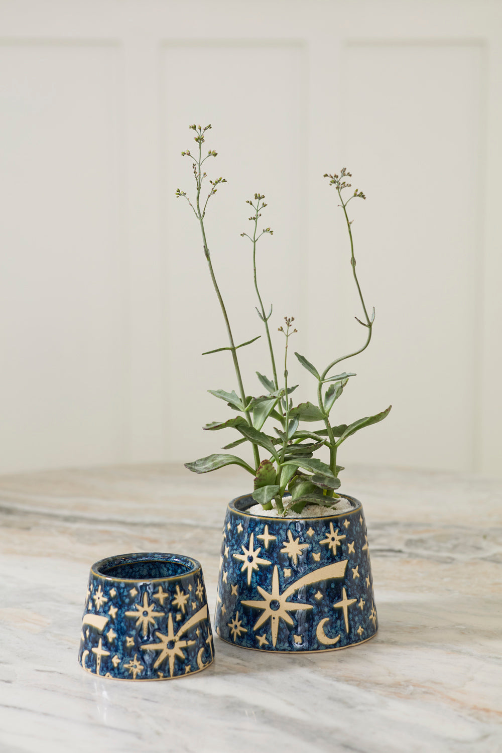 Night Sky Pot Set of 8 By Accent Decor | Planters, Troughs & Cachepots | Modishstore - 4