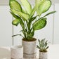 Nisha Pot Set of 4 By Accent DŽcor