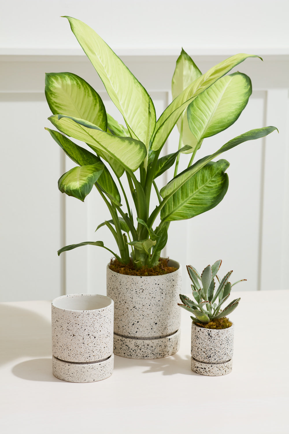 Nisha Pot Set of 4 By Accent DŽcor