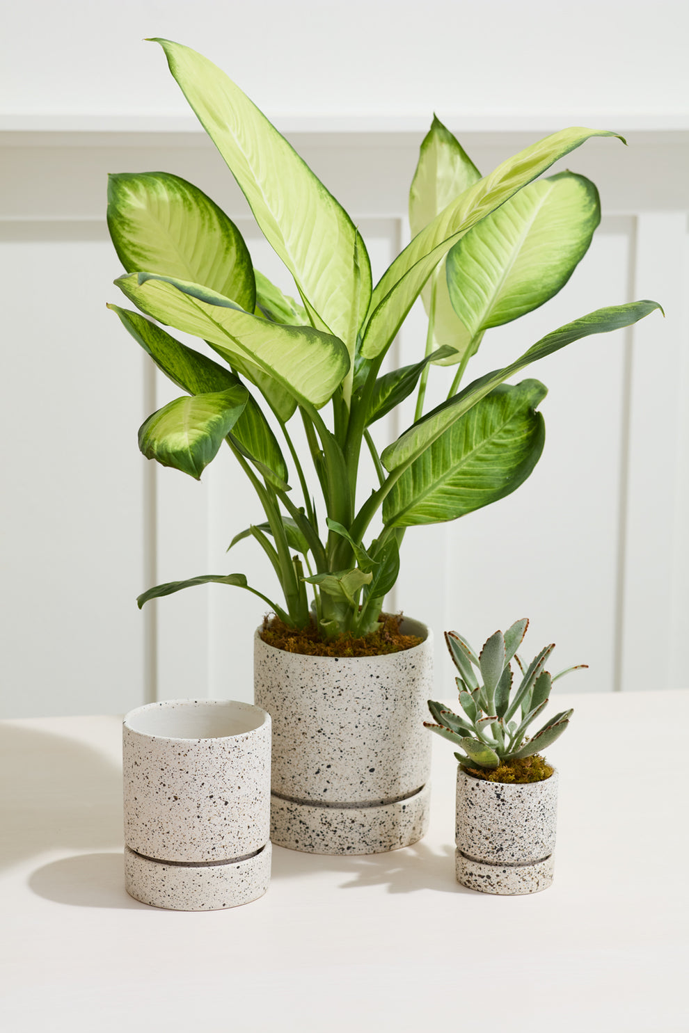 Nisha Pot Set of 4 By Accent Decor | Planters, Troughs & Cachepots | Modishstore - 3