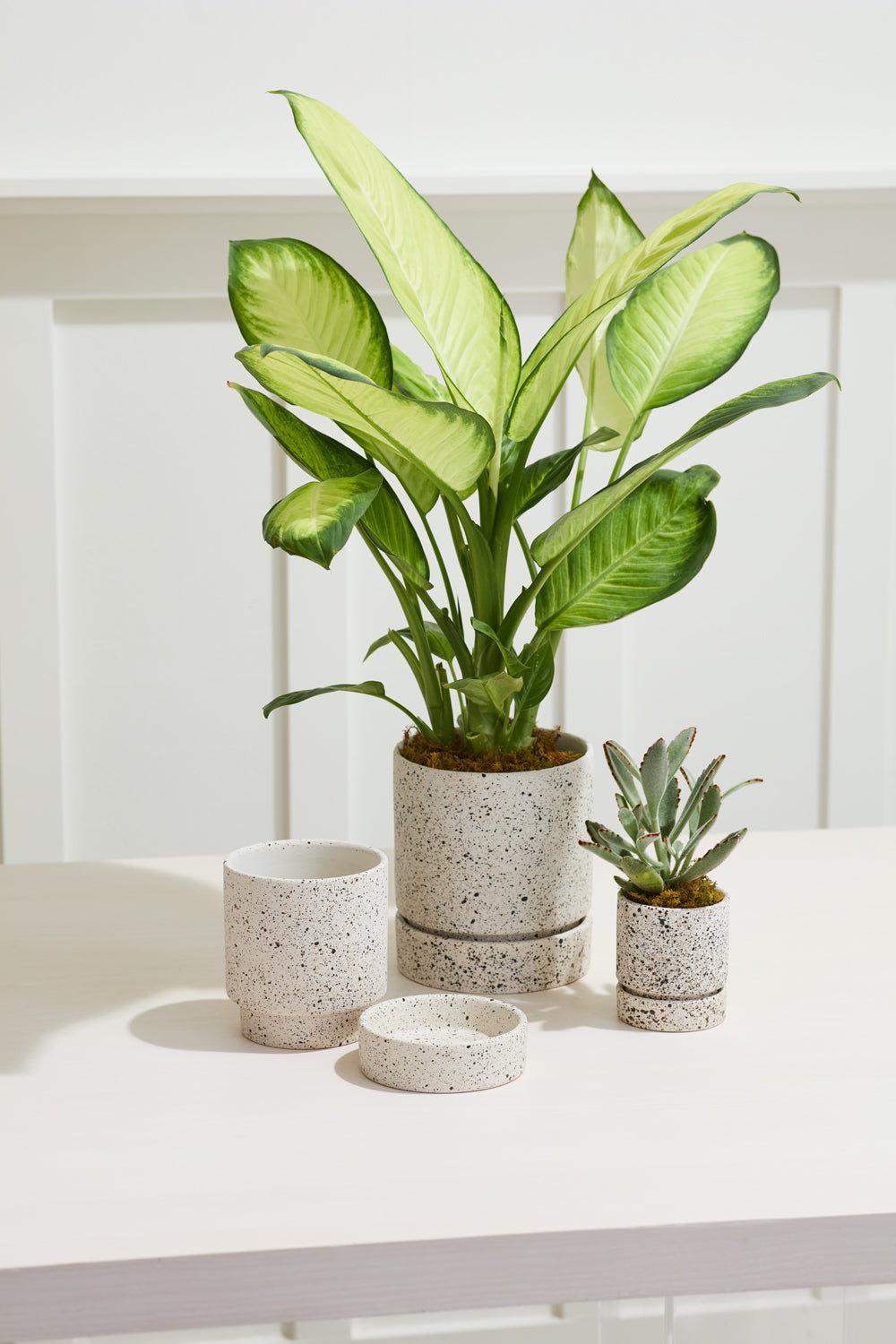 Nisha Pot Set of 4 By Accent DŽcor