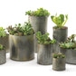 Norah Collection Set of 4 By Accent Decor | Vases | Modishstore - 6