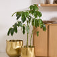 Novella Pot By Accent Decor | Planters, Troughs & Cachepots | Modishstore - 3