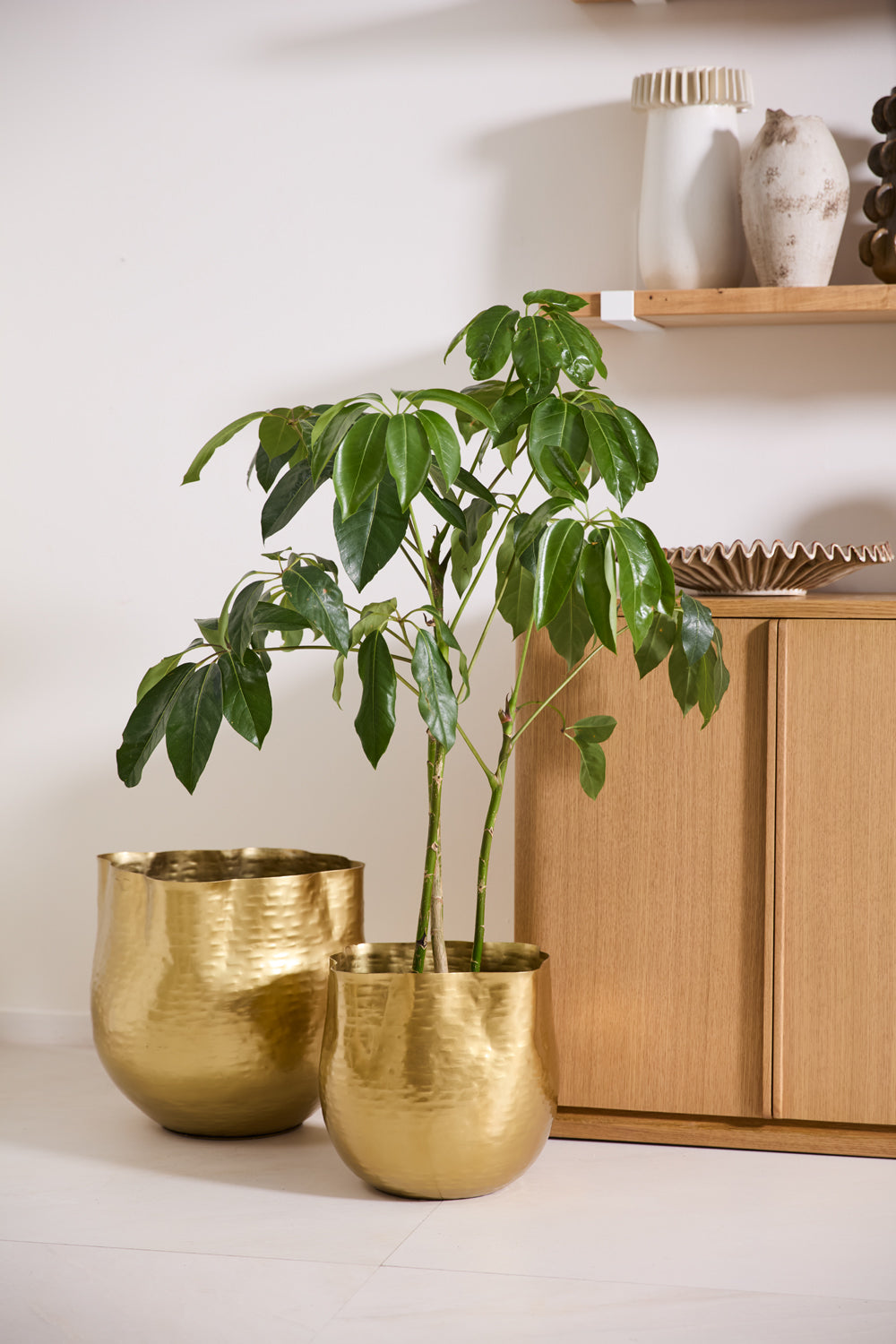 Novella Pot By Accent Decor | Planters, Troughs & Cachepots | Modishstore - 3