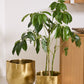 Novella Pot By Accent Decor | Planters, Troughs & Cachepots | Modishstore - 4