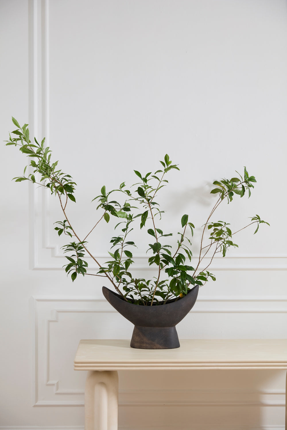 Numina Boat By Accent Decor | Planters, Troughs & Cachepots | Modishstore - 3