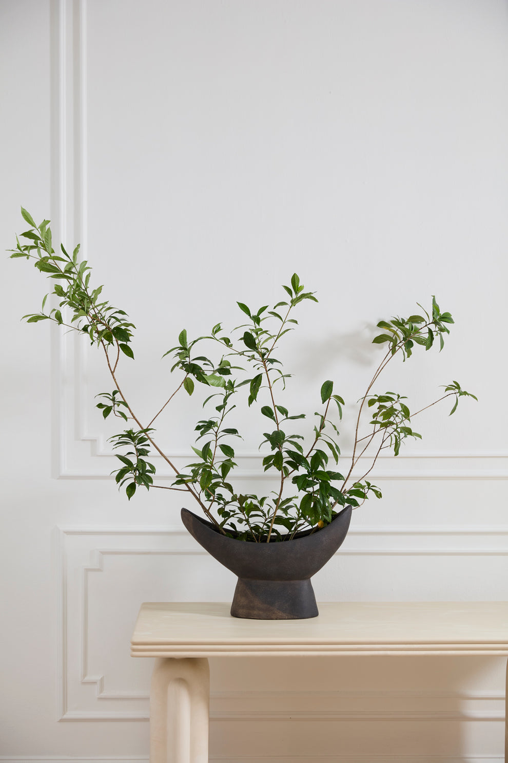 Numina Boat By Accent Decor | Planters, Troughs & Cachepots | Modishstore - 3