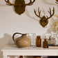 Oakdale Antler Wall Mount By Accent Decor | Wall Decor | Modishstore - 5