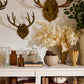 Oakdale Antler Wall Mount By Accent Decor | Wall Decor | Modishstore - 6