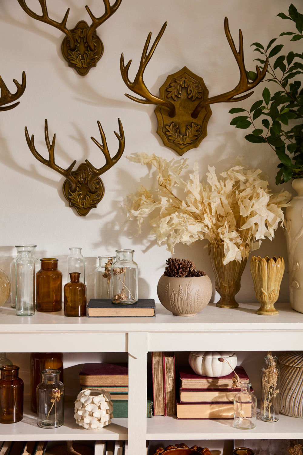 Oakdale Antler Wall Mount By Accent Decor | Wall Decor | Modishstore - 6