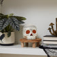 Occipital Sculpture Set of 2 By Accent Decor | Sculptures | Modishstore - 3