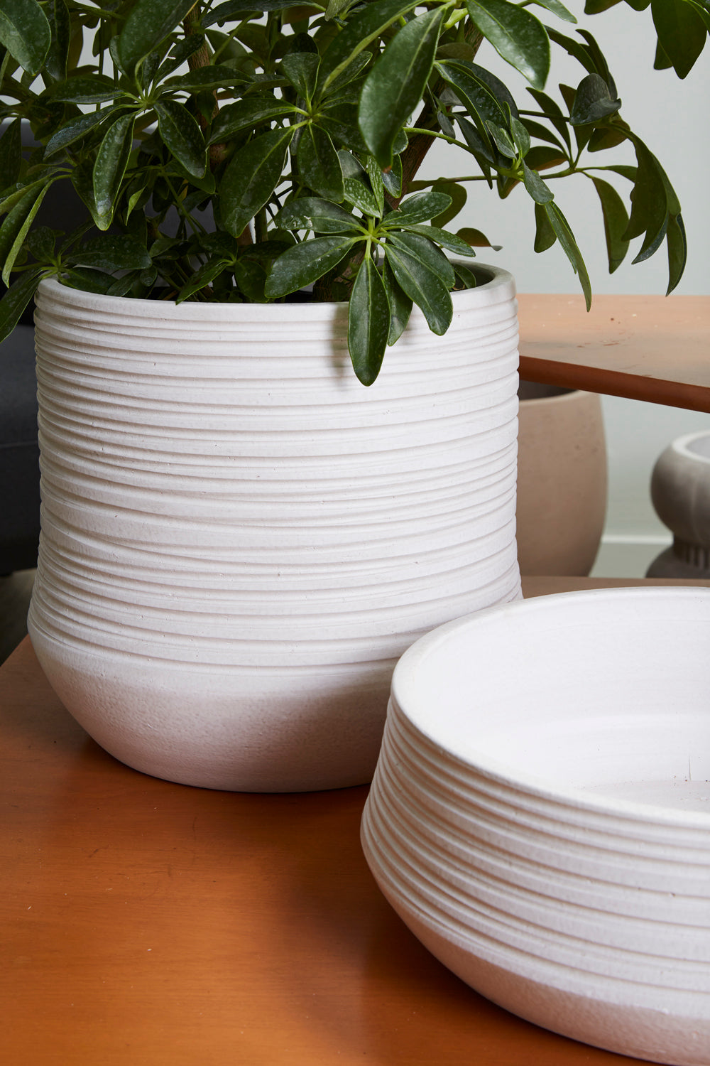 Offshore Collection Set of 2 By Accent Decor | Planters, Troughs & Cachepots | Modishstore - 1