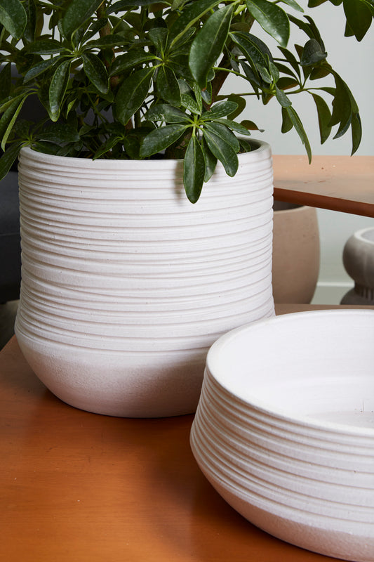 Offshore Collection Set of 2 By Accent Decor | Planters, Troughs & Cachepots | Modishstore - 1
