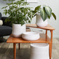 Offshore Collection Set of 2 By Accent Decor | Planters, Troughs & Cachepots | Modishstore - 3
