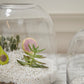 Oliver Terrarium Set of 4 By Accent Decor | Planters, Troughs & Cachepots | Modishstore - 1