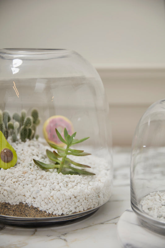 Oliver Terrarium Set of 4 By Accent Decor | Planters, Troughs & Cachepots | Modishstore - 1